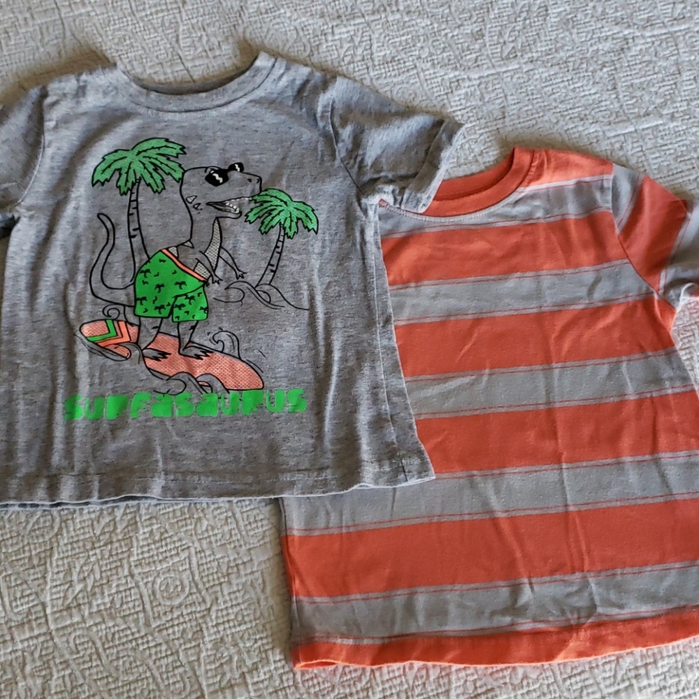 Set of 2 Okie Dokie toddler tshirts